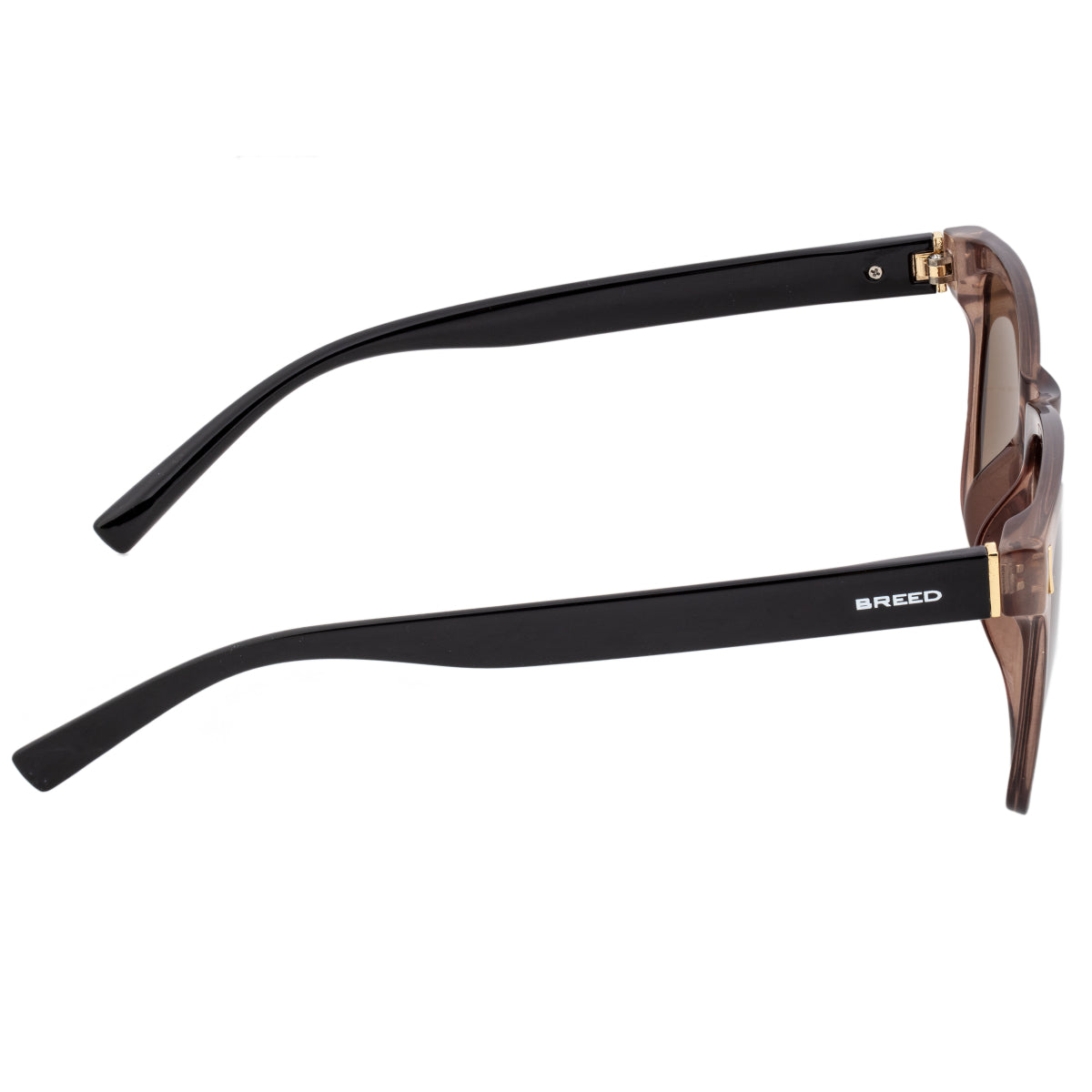 Breed Pictor Polarized Sunglasses - Brown/Black - BSG065BN