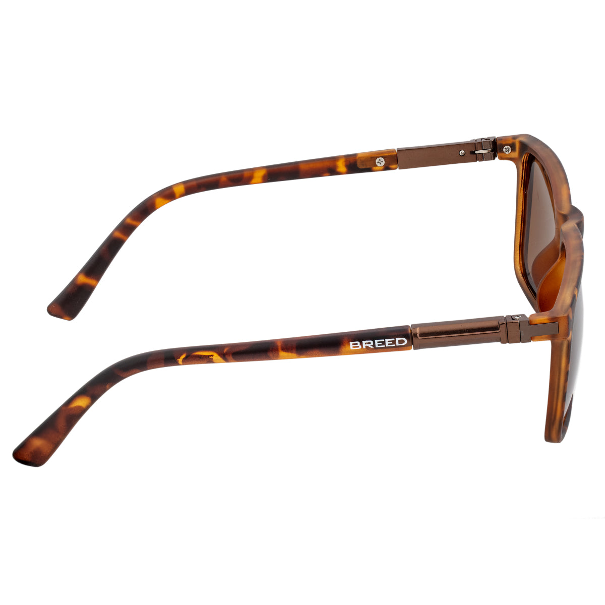 Breed Caelum Polarized Sunglasses - Tortoise/Brown - BSG063BN