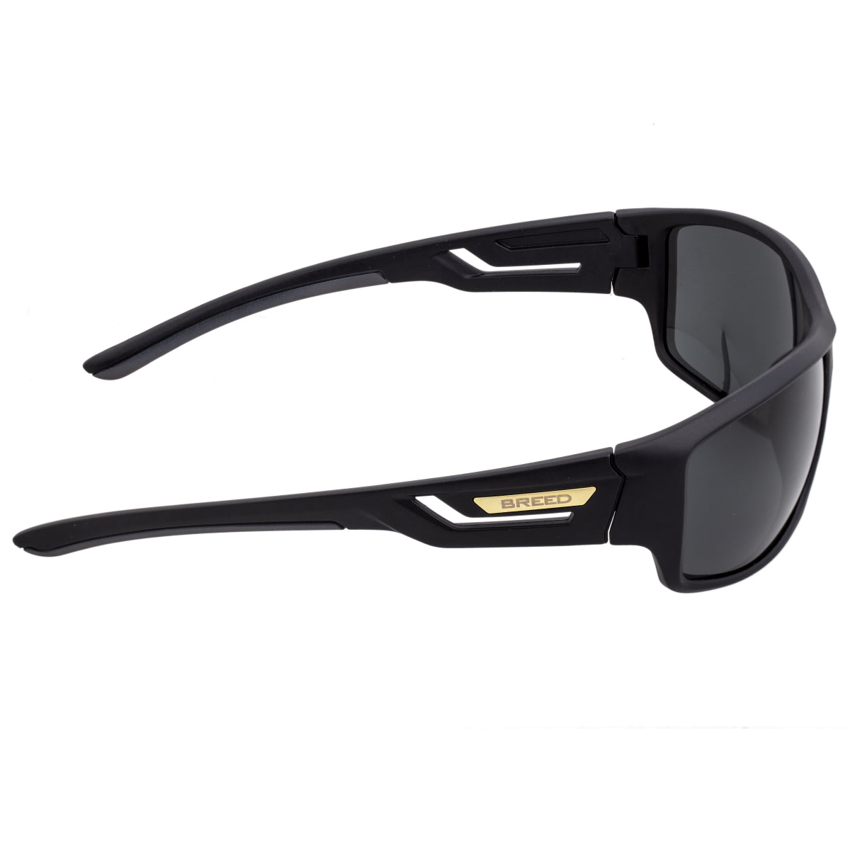 Breed Aquarius Polarized Sunglasses - Black/Black - BSG060BK