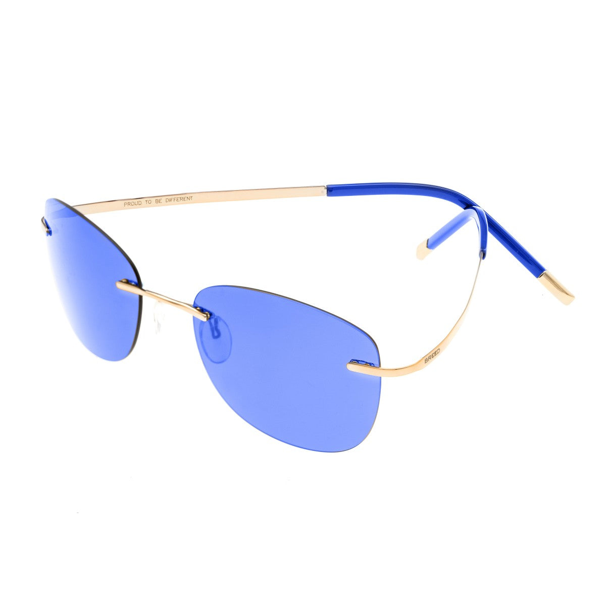 Breed Adhara Polarized Sunglasses - Gold/Blue - BSG043GD