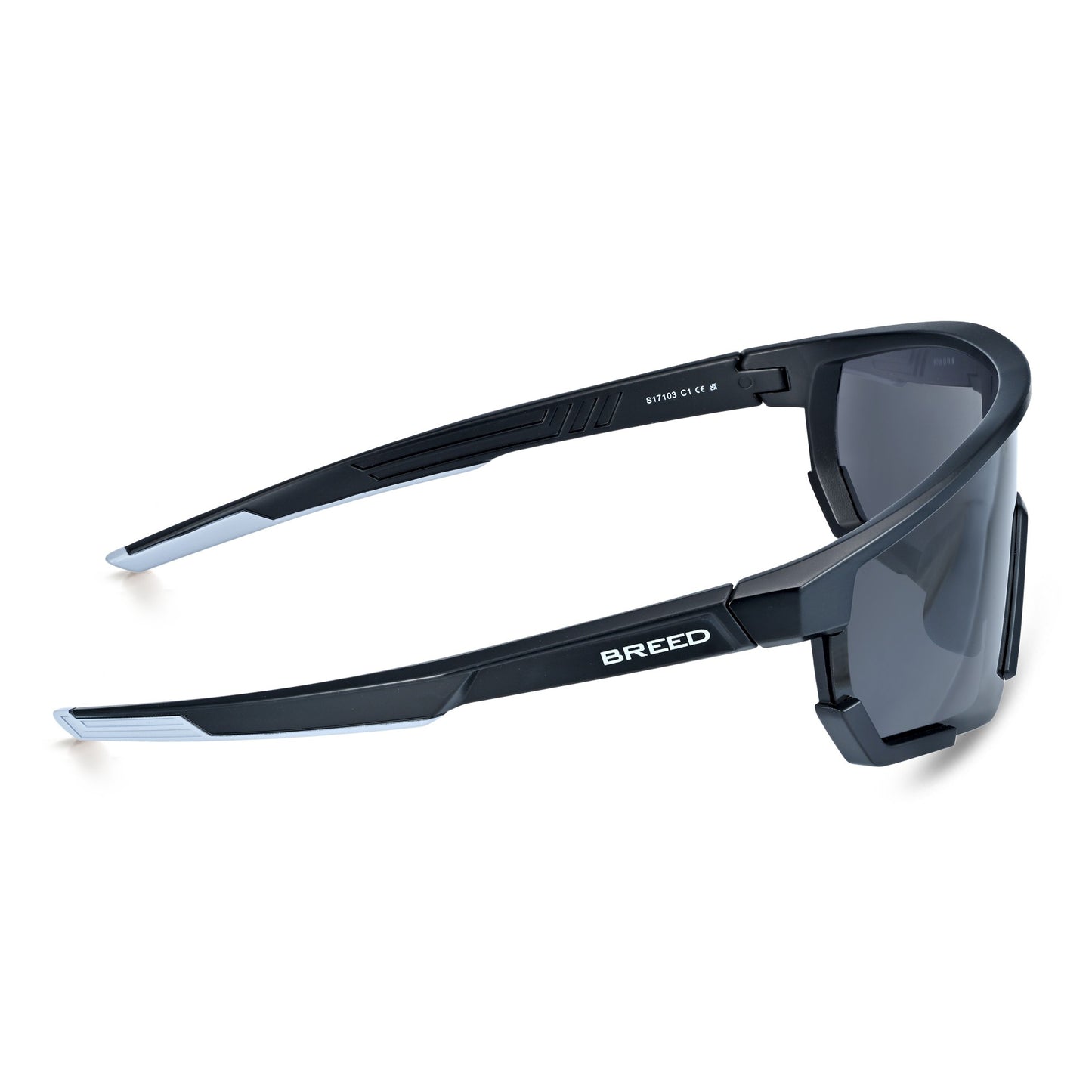 Breed Vega Polarized Sunglasses - Black/Black - BSG070C1