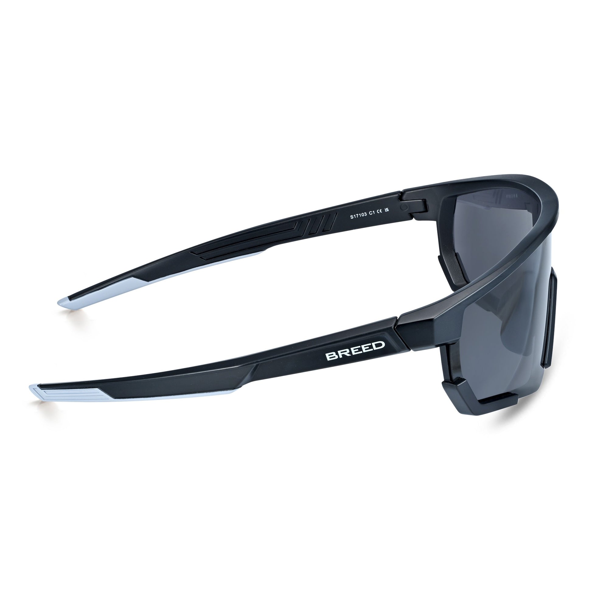 Breed Vega Polarized Sunglasses - Black/Black - BSG070C1