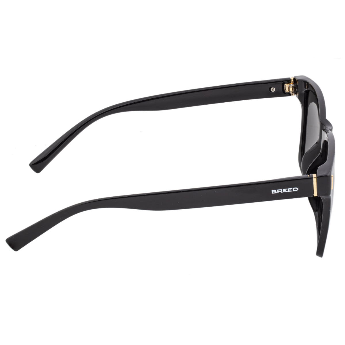 Breed Pictor Polarized Sunglasses - Black/Blue - BSG065BL