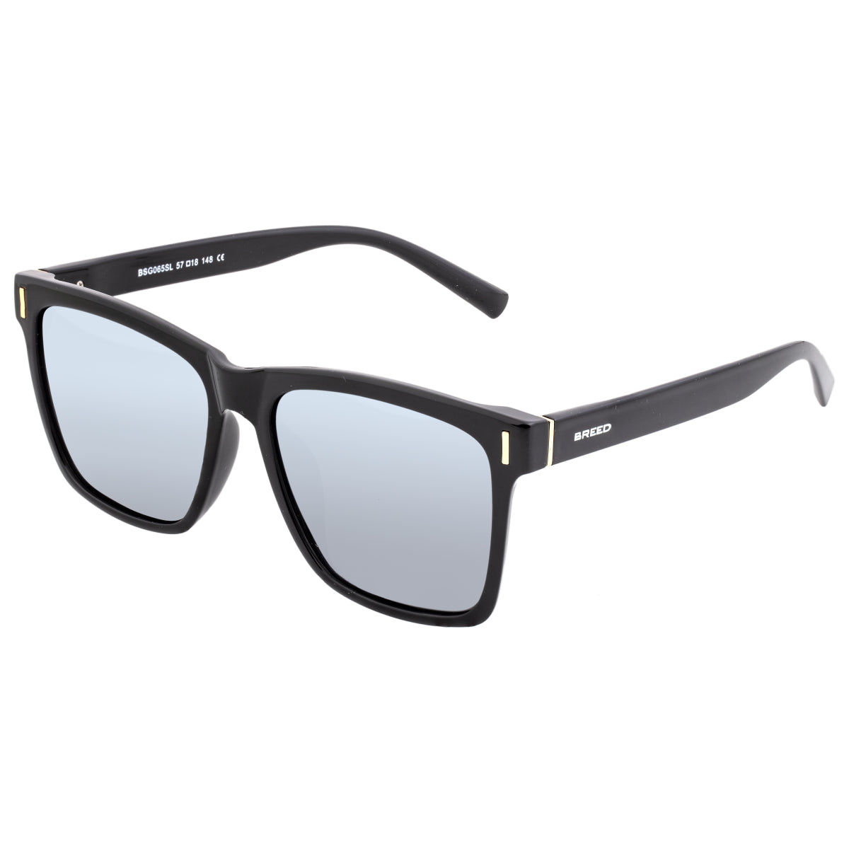 Breed Pictor Polarized Sunglasses - Black/Silver - BSG065SL